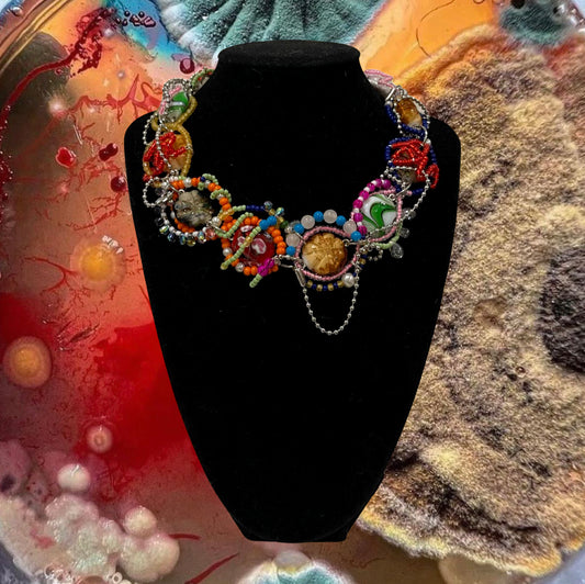 DNA MOLD 004